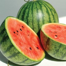 watermeloncrop