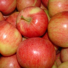 gala-apples
