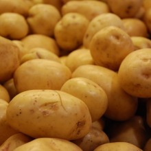 goldpotatoes